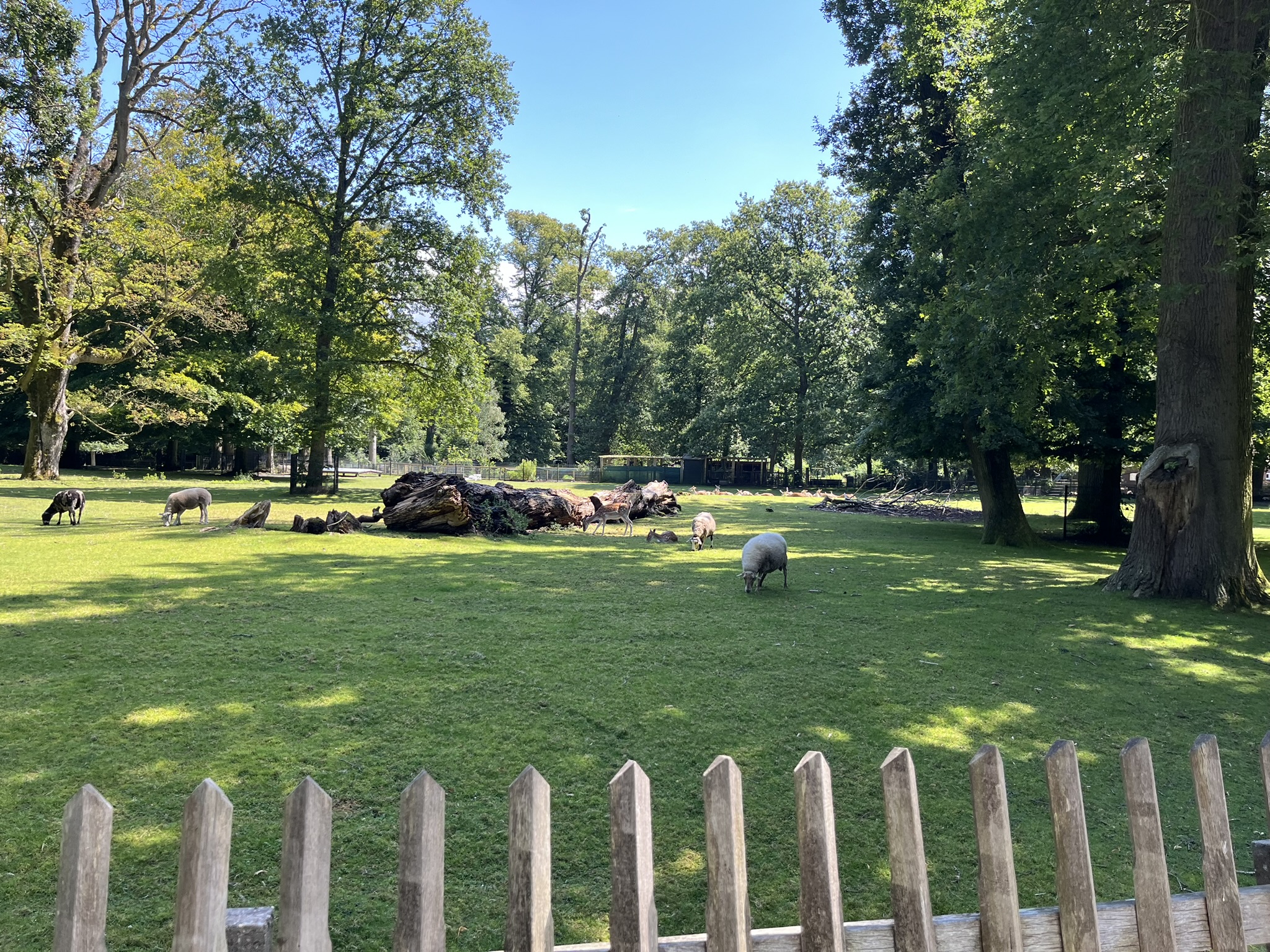 Haarlemmerhout Park.