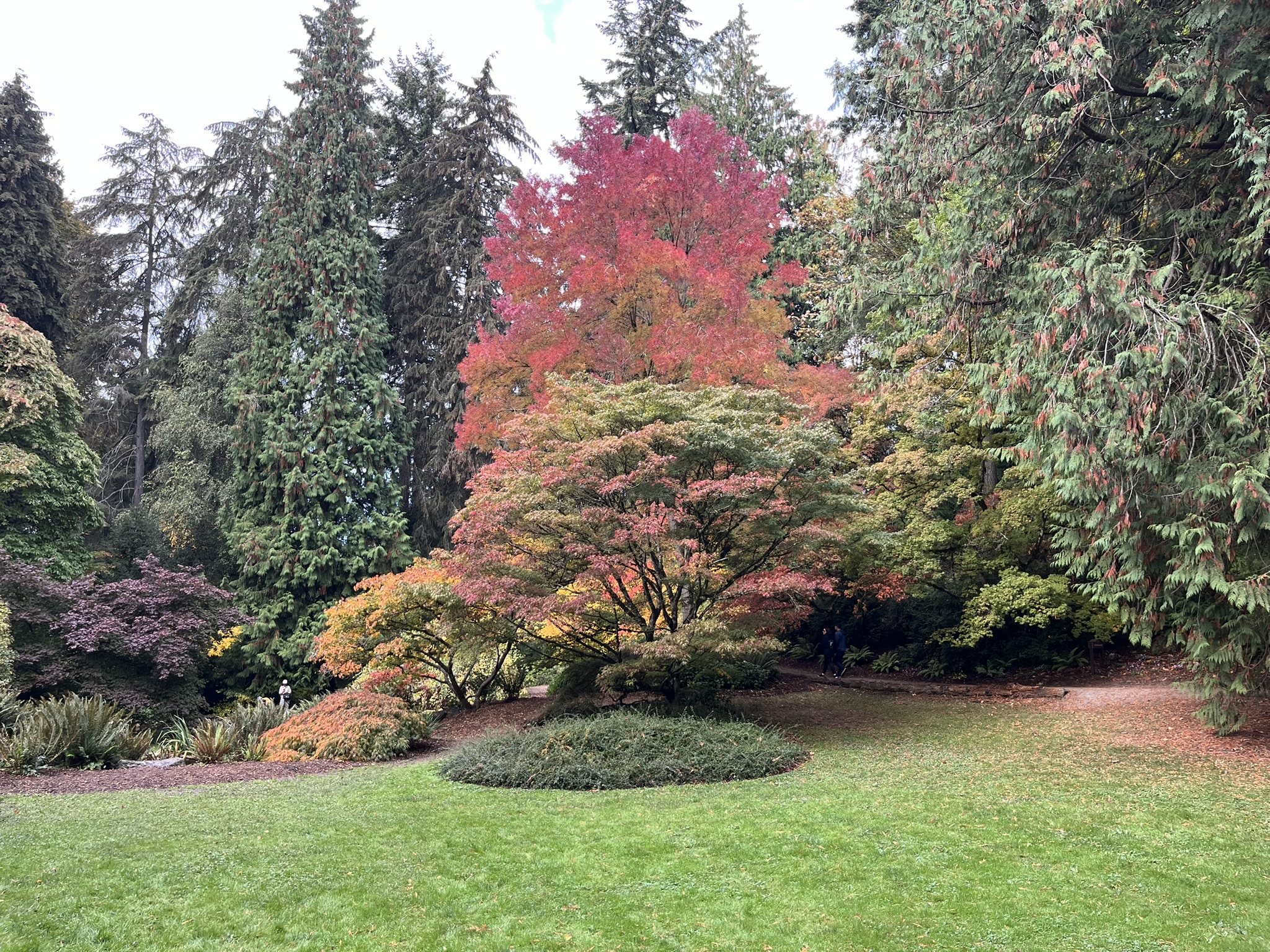 Washington Arboretum (Seattle)