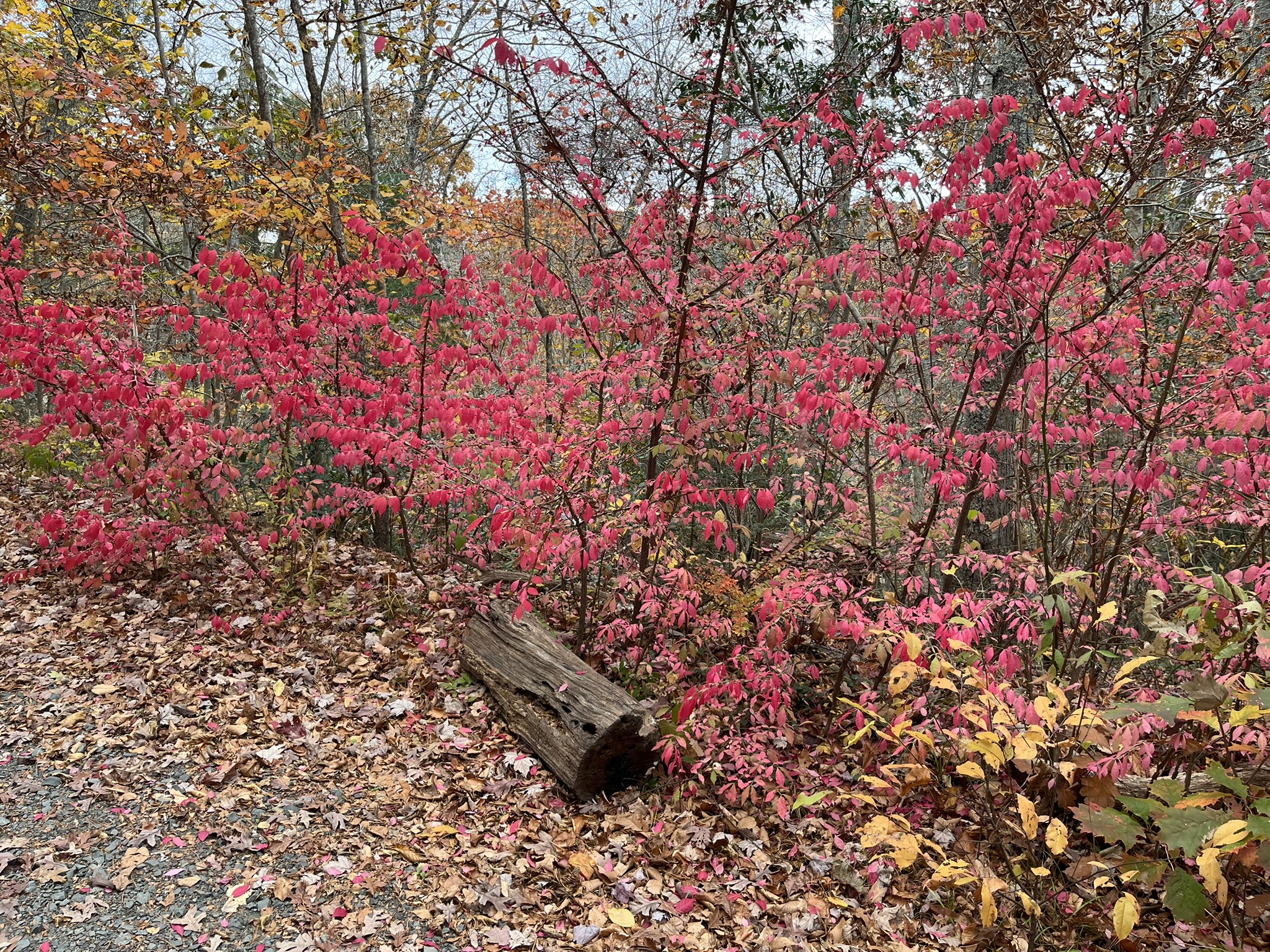 Amazing scenery in CT