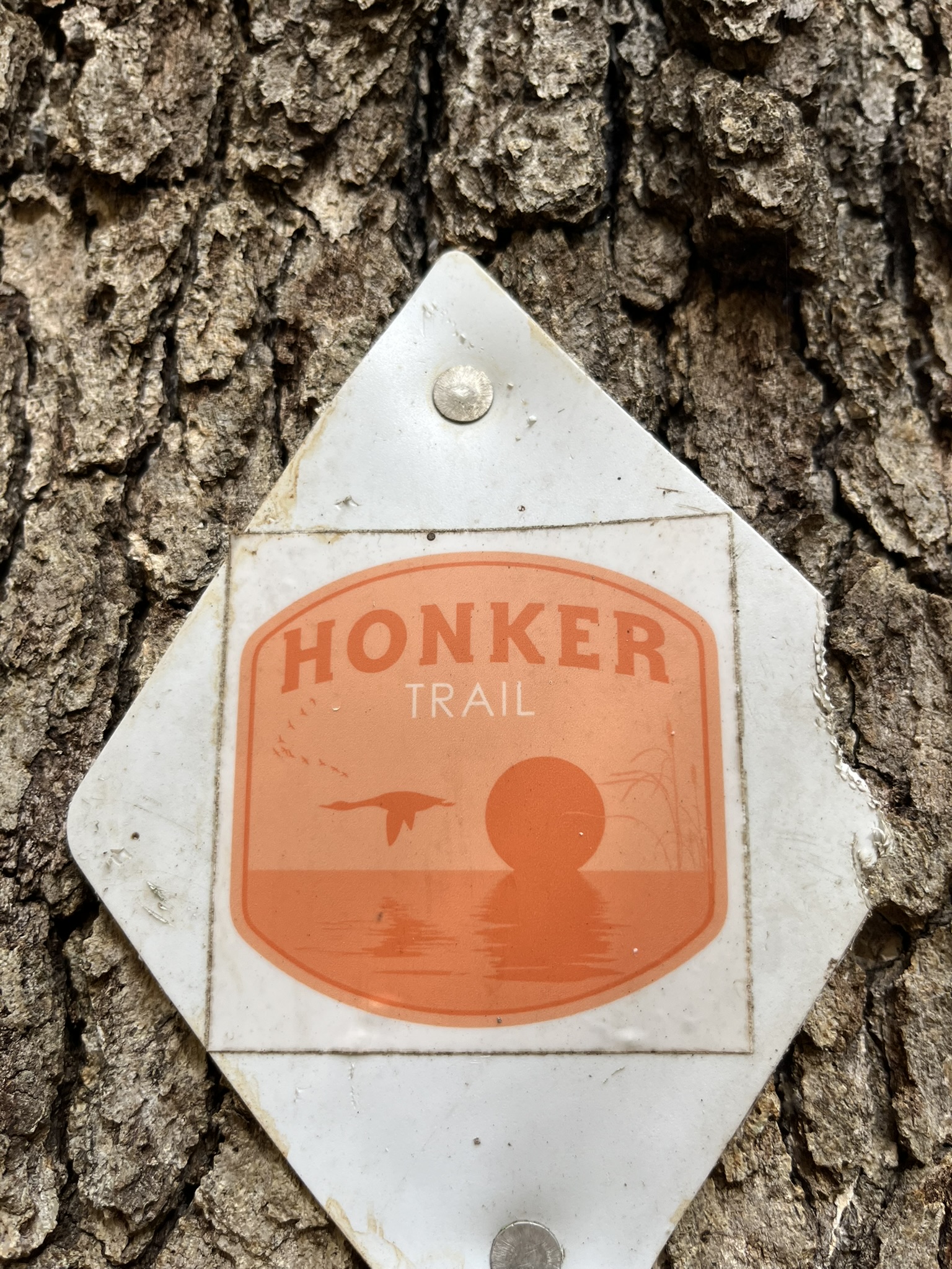 Honker Trail in LBL